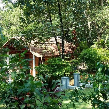 Leisure Vacations Whispering Woods Hotel Madikeri Eksteriør billede