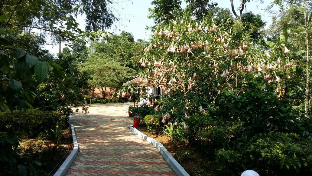 Leisure Vacations Whispering Woods Hotel Madikeri Eksteriør billede