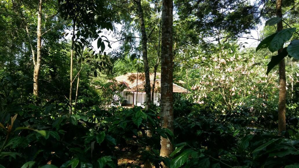 Leisure Vacations Whispering Woods Hotel Madikeri Eksteriør billede